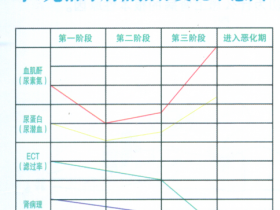 尿蛋白3+是怎麽回事？