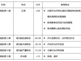 怎樣區(qū)分(fēn)腎病到哪個(gè)階段了(le)?