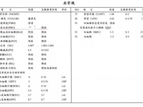 别再被尿蛋白加号（+）騙了(le)，更準的(de)是這(zhè)兩個(gè)檢查！